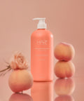 HAIRPLUS Modern Peach Shampoo 1000ml