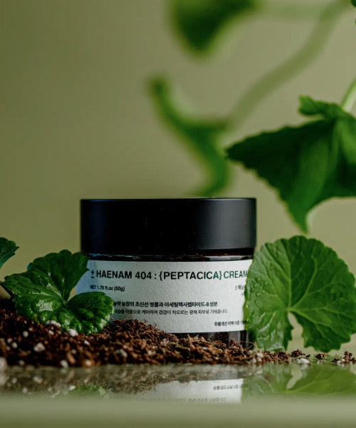 TOUN28 Haenam 404 Peptacica Dawn Cream 50g