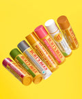 BURTSBEES Burt's Bees Moisturizing Lip Balm 4.25g