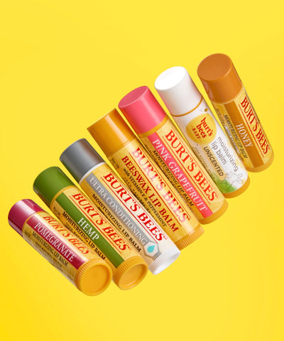 Burt's Bees Moisturizing Lip Balm 4.25g