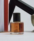 ANILLO Dark Beer Biome Hair Essence 50ml