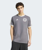 ADIDAS ADIDAS Mercedes AMG F1 Team Silver Arrow Icon Men's Tee - Gray