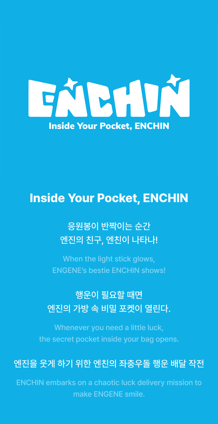 Official Light Stick Cover detail 2