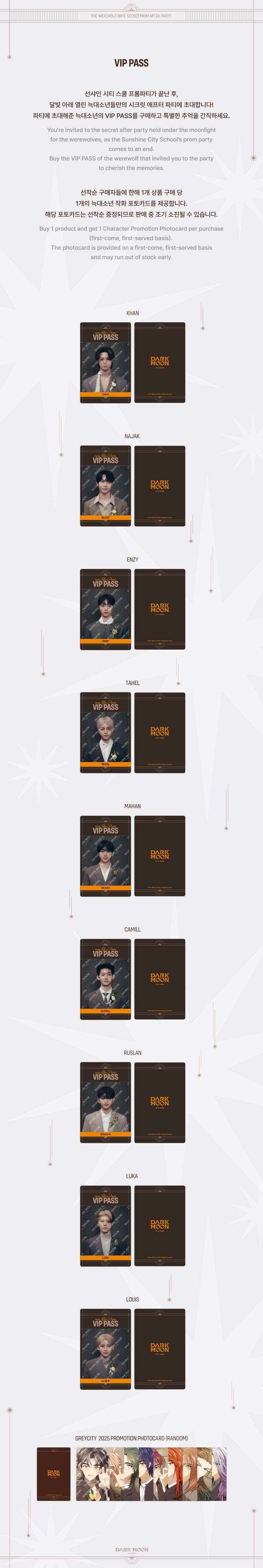 VIP PASS detail 2