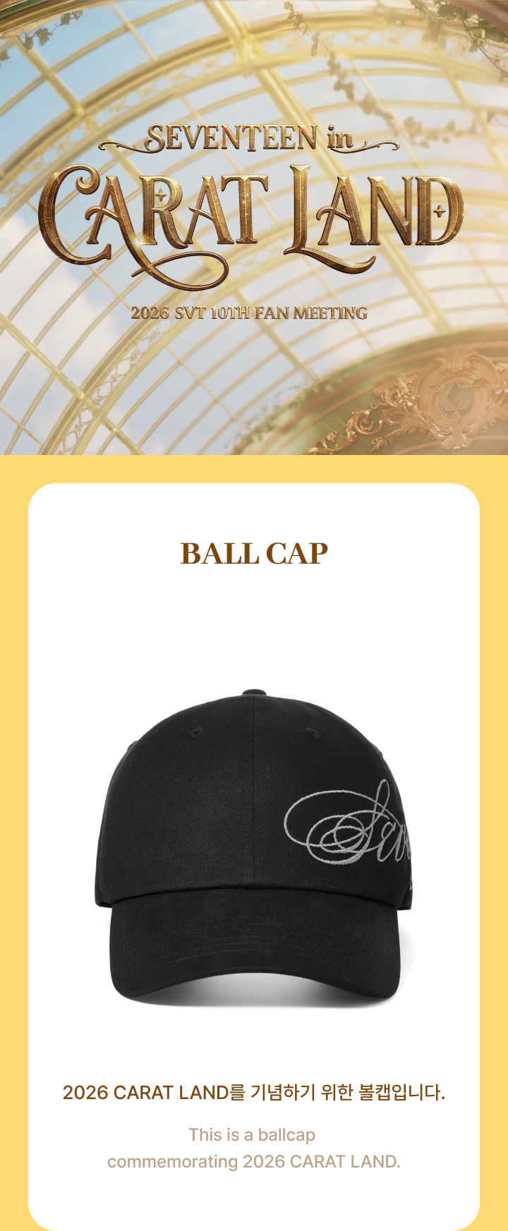 Ball Cap detail 2