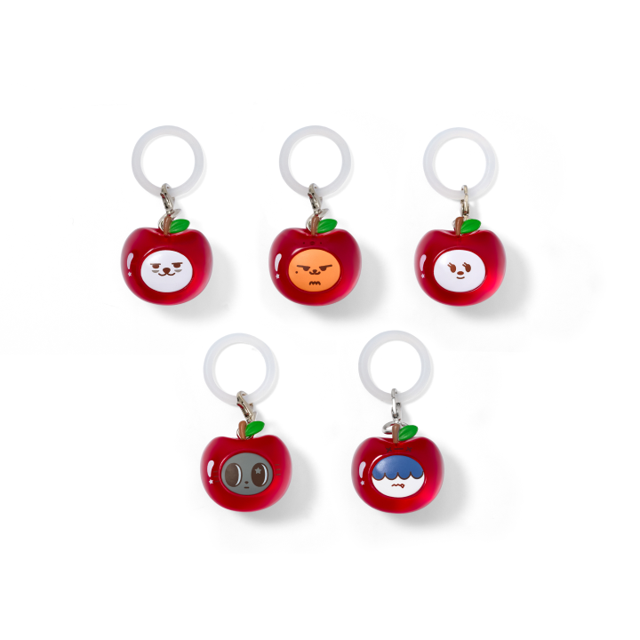 Mini Keyring