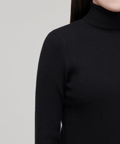 MUSINSA STANDARD WOMAN MUSINSA STANDARD WOMAN Women's Ribbed Slim Turtleneck Knit Black
