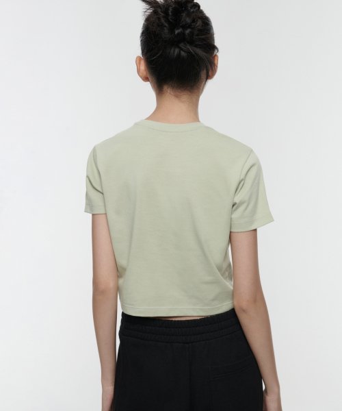 MUSINSA STANDARD WOMAN MUSINSA STANDARD WOMAN Crew Neck Crop T-Shirt Pale Green