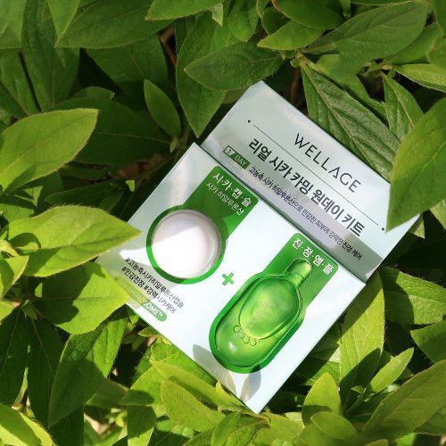 WELLAGE WELLAGE Real Cica Calming Ampoule Kit