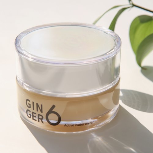 GINGER6 Vegan Active Water Moisture Cream 50ml
