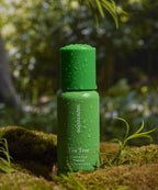 PAPARECIPE Tea Tree Control Cica Ampoule 30ml