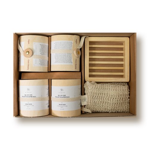 ERIGERON All-in-one vegan shampoo ball birch package gift set