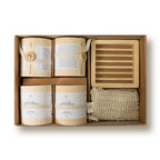 ERIGERON All-in-one vegan shampoo ball birch package gift set