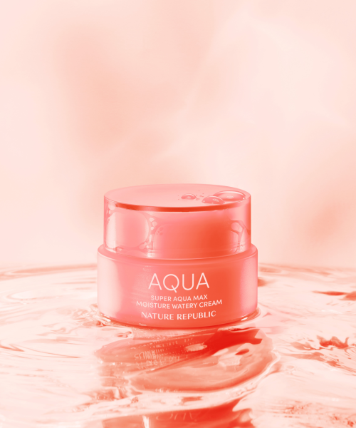 Nature Republic Nature Republic Super Aqua Max Moisture Cream for Dry Skin