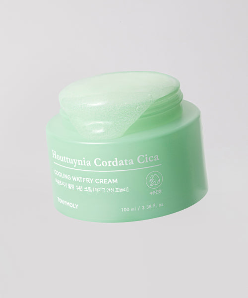 TONYMOLY TONYMOLY Eoseong Chocica Cooling Moisture Cream 100ml