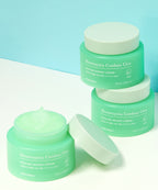 TONYMOLY TONYMOLY Eoseong Chocica Cooling Moisture Cream 100ml