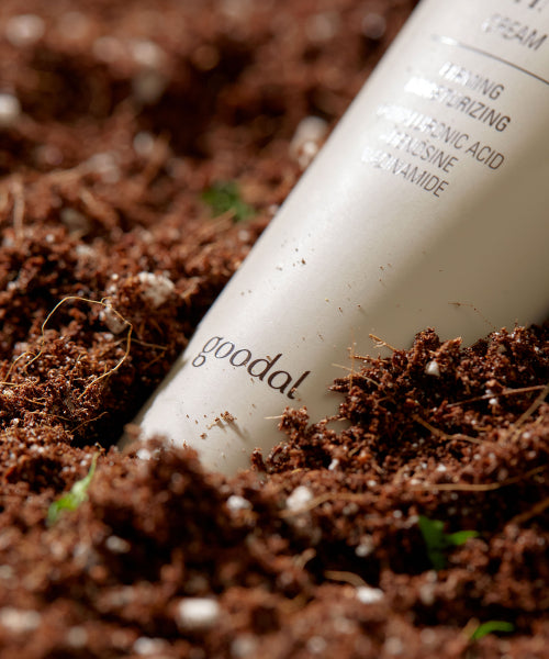 goodal Black Carrot Vita A Retinol Elasticity Cream 50ml