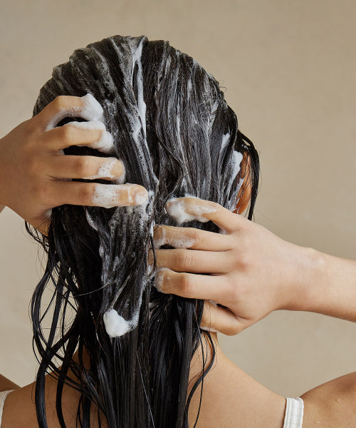 LA FERME Laminaria Shampoo White Musk 1000ml (+ shampoo and conditioner sample kit provided)