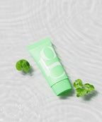 PH HUBBY PH HUBBY Sunscreen Cica Seven 50g