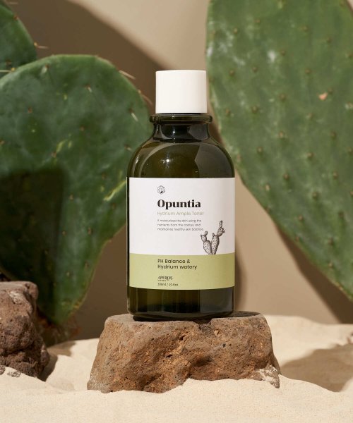 APEROS Chrysanthemum Hydrium Ampoule Toner