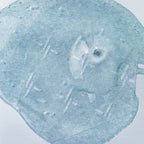XOUL XOUL Extreme Frozen Mask (10 sheets)