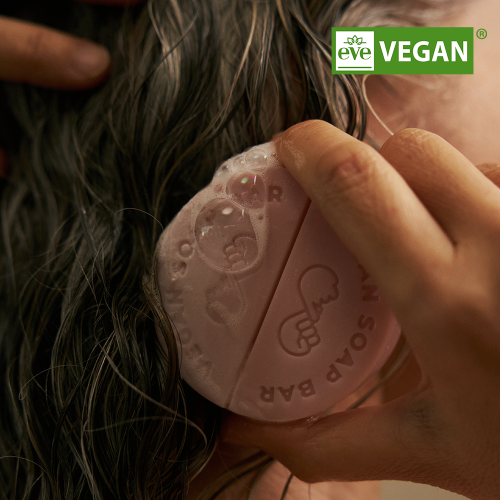 DONGGUBAT Vegan camellia special set (shampoo bar + treatment bar) + free cotton soap foam net