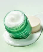 ESSENHERB Essenherb Tea Tree Soothing in Calming Cream 80ml * 2EA