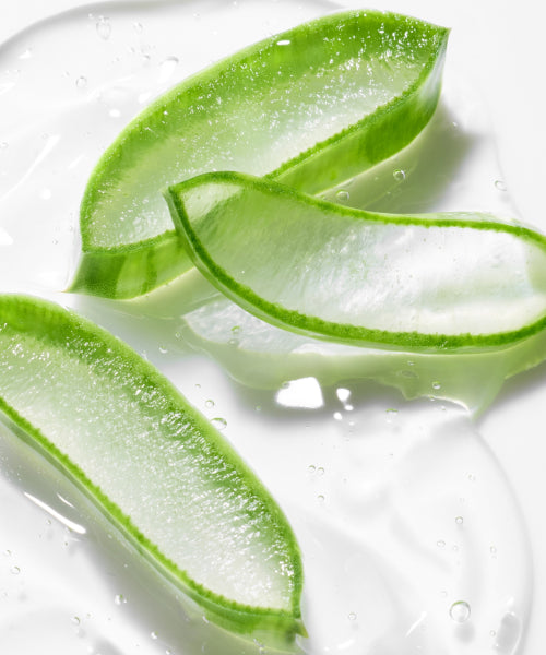 innisfree Innisfree Aloe Revitalizing Soothing Gel 300mL