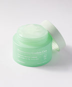 TONYMOLY TONYMOLY Eoseongchocica Cooling Moisture Cream 2pack