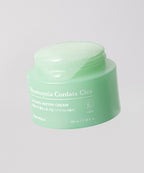 TONYMOLY TONYMOLY Eoseongchocica Cooling Moisture Cream 2pack