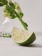 VINOIR Decanting Shampoo Bar_ Le Picnique