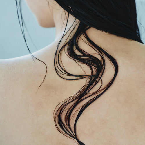 REMST Botanic Repair Shampoo
