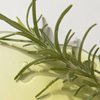 KAINE Kaine Rosemary AHA Night Serum