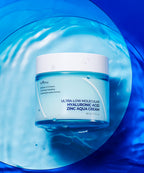 Isntree Ultra-low molecular hyaluronic acid zinc moisture cream 80ml
