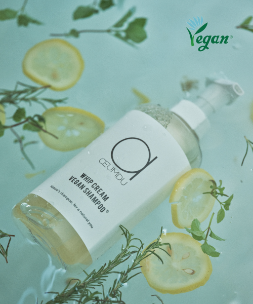 ACEUMDU [set] Whip Cream Vegan Shampoo 500ml + No Wash Treatment 150ml