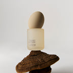 BHAB Slow Chaga Moisture Soothing Face Eye Serum 50ml