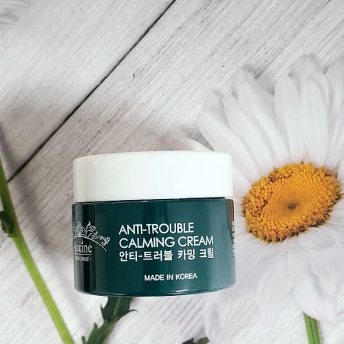 ACCINE Anti Trouble Calming Cream 55g