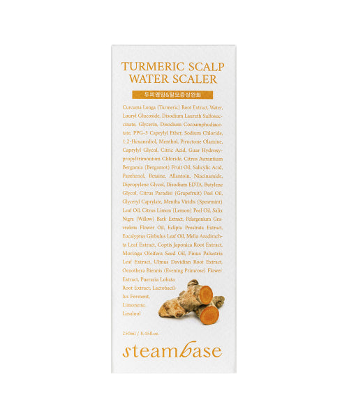STEAMBASE Hair loss improvement, scalp strengthening, turmeric scaler 250ml