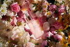 ISOULLE Moisturizing Miracle Serum / Vegan Serum / Vegan Certification / Glowing Serum