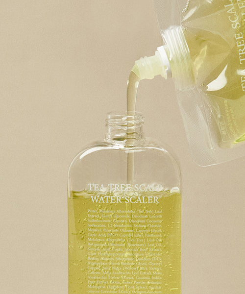 STEAMBASE Solving the problem of crown odor, scalp dead skin tea tree scaler refill 500ml