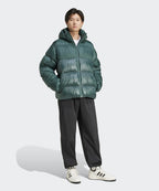 ADIDAS ADIDAS Padded Jacket Mid Green