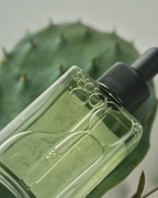 NULLIKOREA Jeju Cactus Calming Moisture Serum 30ml