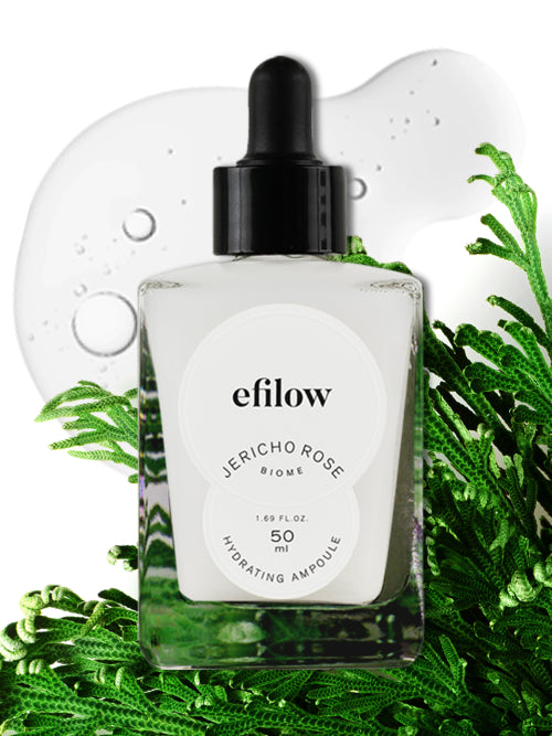 EFILOW [2 pack] Resurrection plant Hyalupepta quick drying moisture elasticity ampoule 50ml