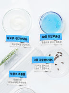 EFILOW [2 pack] Resurrection plant Hyalupepta quick drying moisture elasticity ampoule 50ml