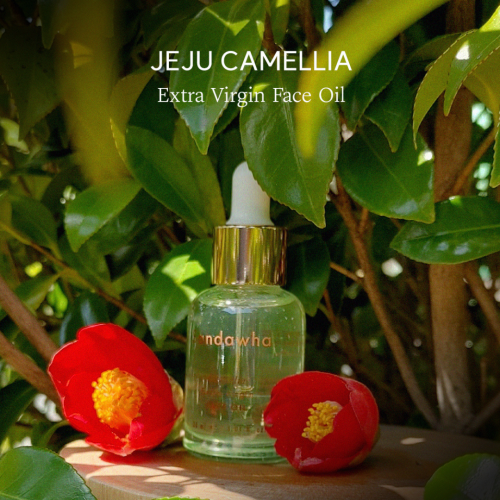 SANDAWHA Extra Virgin Camellia Face Oil 30ml
