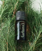 ESSENHERB Essen Herb Tea Tree 100 Oil 10ml x 2EA