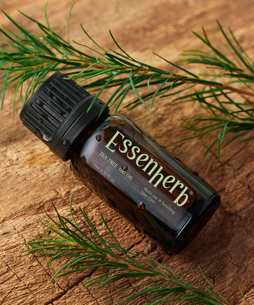 ESSENHERB Essen Herb Tea Tree 100 Oil 10ml x 2EA