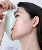 Abib Abib Modeling Cream Mask Houttuynia cordata scoops (71ml)