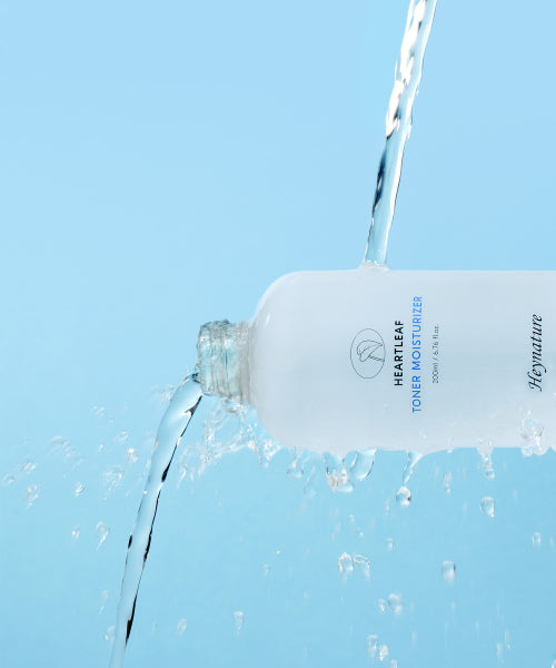 HEYNATURE [Renewal] Houttuynia cordata skin 3rd generation double set [Total 400ml]
