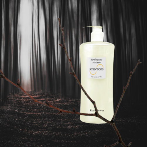 SENTCOS Scentcos Perfume Shampoo